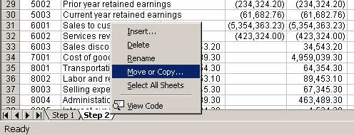 Copy first trial balance in a new file