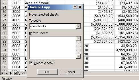 Copied first trial balance in new file